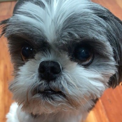 rexchoi's profile picture. Nothing to see here.. I live a very uninteresting life.