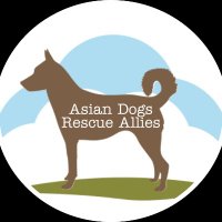 Asian Dogs Rescue Allies(@DogsAsian) 's Twitter Profile Photo