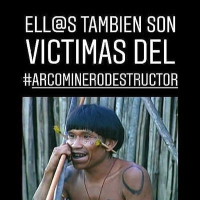 venezolano 🇻🇪 Pro environment & indigenous communities (Venezuela). Opposed to #ArcoMinero ⛏️ ecocide in Venezuela.Independent & anti-populists (right & left)