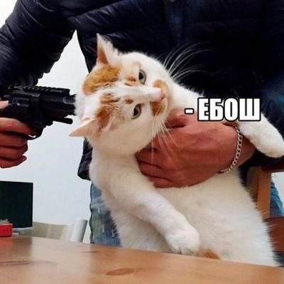Бестужа/Bestujaさんのプロフィール画像