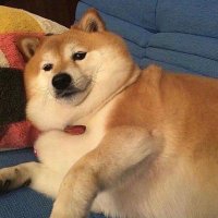 Air Dog NO.1 (@airdogee) 's Twitter Profile