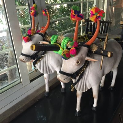 mimakandar's profile picture. 