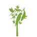 Osa Conservation (@osaconservation) Twitter profile photo Osa Conservation (@osaconservation) Twitter profile photo