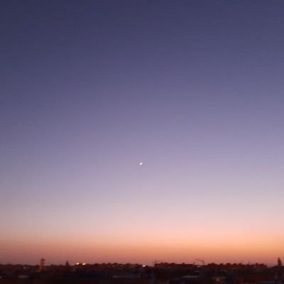 UnrequestedO's profile picture. ?