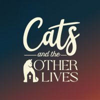 Jogue como um gato em 'Cats and the Other Lives', A Narrative Point 'n Click,  agora disponível em consoles Xbox – XboxEra