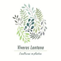 Viveros_Lantana(@Viveros_Lantana) 's Twitter Profile Photo