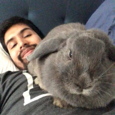 Músico, Historiador del Arte, estudiante de doctorado. Educador a tiempo completo. Bunny dad 🐰