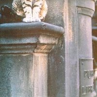 bookish_cats_aye (@oculusaye) 's Twitter Profile Photo bookish_cats_aye (@oculusaye) 's Twitter Profile Photo