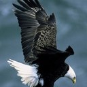 Claire Gonzalez - @coll0204 - Twitter