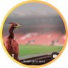 DsteveMc's profile picture. ❤️LFC❤️Liverpool❤️ #LFC #YNWA