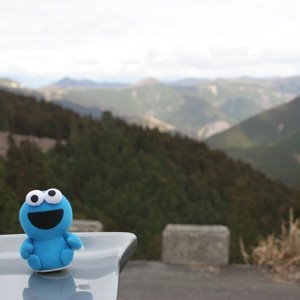 heshage_dc5865's profile picture. 細々と新規就農からの営農をしております。
軽トラのみならず乗用車もMTしか運転出来ません。
自分、不器用ですから。