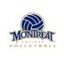 Montreat College Volleyball (@montreatvb) Twitter profile photo