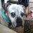 NancyCowan21's avatar