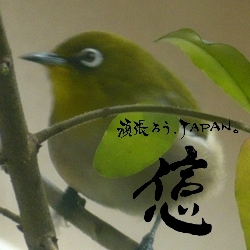 https://t.co/q1U1TkwUArの代表だが、最近体調不良に悩みながら単身赴任で別の会社のマネージャーとして孤軍奮闘中!大の猫好き!!MT車も大好き!人に騙されやすい属性だが、人間嫌いにはなれない困った人間、最近の悩みは大好きな豚骨ラーメンで胃もたれすること笑笑