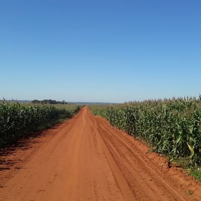 A.G.L. Agrario.
Agricultor. Agropecuaria Urundeymi.
San Pedro.🇵🇾
Sector privado comercial.