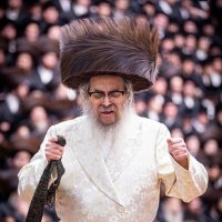 Satmar Patriot (@satmarpatriot) 's Twitter Profile Photo Satmar Patriot (@satmarpatriot) 's Twitter Profile Photo