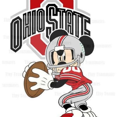 Husband, Dad, Grandfather, Buckeye 🏈fan and A RESISTER. Wannabe President of ANTIFA.   🌊🌊 VOTE BLUE in 2024 and beyond!!