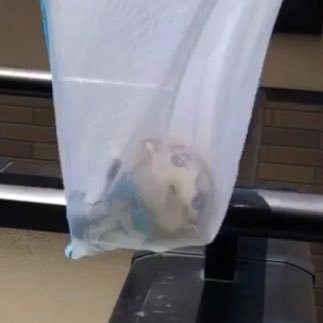 みりんさんのプロフィール画像