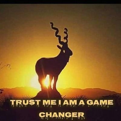 SohailA37557175's profile picture. 03005701465