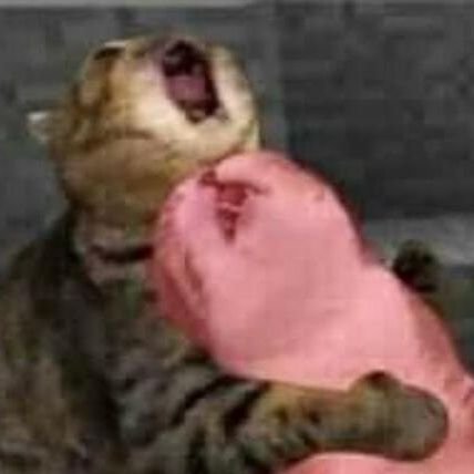 Jackiebeth5's profile picture. shiken noodoo soop meme account