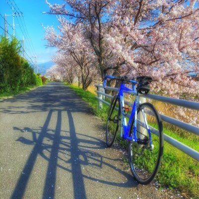 Nousagi_chari's profile picture. ロードバイク垢、大学生です。SEKAINOOWARI・ラブライブサンシャインが好きです！！ぜひフォローお願いします！♪d(*'-^*)b♪ できるだけフォロバします。