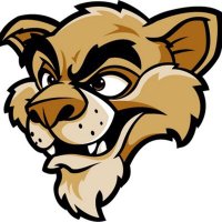 Steele Canyon High (@steelecanyonhs1) 's Twitter Profile