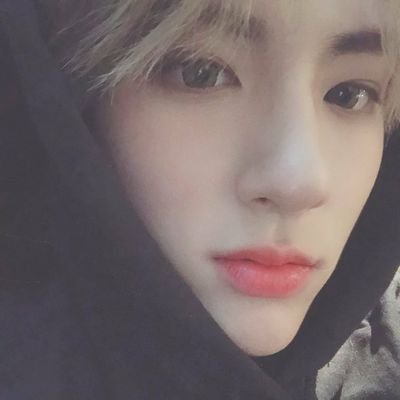 금성さんのプロフィール画像