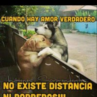 soy el solitario (@jorge75197129) 's Twitter Profile