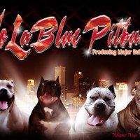 Nolabluepitbulls (@nolabluepitbull) 's Twitter Profile