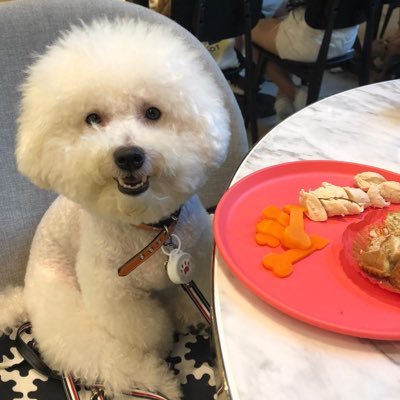 blairkoeeeee's profile picture. 