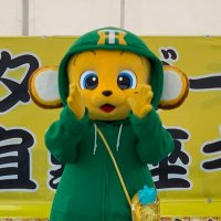 たけ:七転び八起き (@7_korobi_8_oki_) 's Twitter Profile