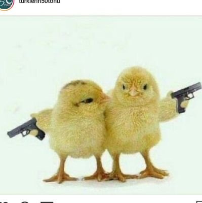 Psikolojii2's profile picture. insanlarr+dertlerr