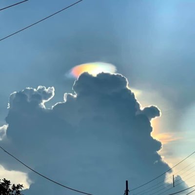 usuario_003's profile picture. en renovación