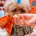 ã¡ãâ圡 (@hv684s) Twitter profile photo ã¡ãâ圡 (@hv684s) Twitter profile photo