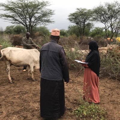 Post-doctoral fellow @ILRI, PhD @IDS_UK @Sussexuni @PASTRES_erc #Social protection #CLIMATE Change #moral economy #pastoralism #resilience # HumanitarianAid#HoA