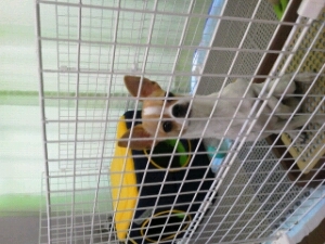 matsuuu1227's profile picture. 人生=博打