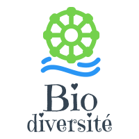 Bio Diversité est une entreprise pour la sensibilisation à la protection du littoral Méditerranéen pensée par des élèves de BTS à but éducatif.