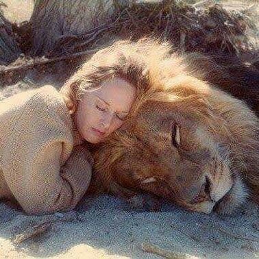 Altruiste💙
toujours du coté des opprimés💕 où qu'ils soient 👨👩👧👦 🙏
🐻🦁🐱🐼🐶 Non a la cruauté l'injustice maltraitance des animaux STOP ✋😤😡