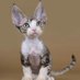 Marvelous Pets (@petsmarvelous) Twitter profile photo Marvelous Pets (@petsmarvelous) Twitter profile photo