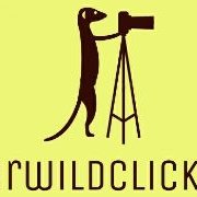 mrwildclicks(@mrwildclicks) 's Twitter Profile Photo