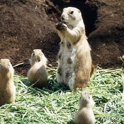 UdOSmitMqZw5maM's profile picture. 立川で働いています