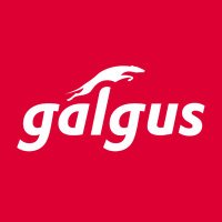 Galgus(@galgus_) 's Twitter Profile Photo