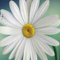 #maskupsavelives (@anordinaryindi4) 's Twitter Profile
