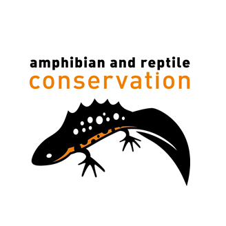 #Amphibian and #Reptile #Conservation - help us give a voice to the UK's disappearing #frogs, #toads, #newts, #snakes and #lizards. Join #GardenDragonWatch!