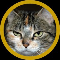 ππππ‘π₯ππππ₯ | ββββββ (@pragmalaya) 's Twitter Profile