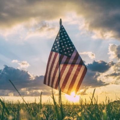 tigerfansusie's profile picture. 🌻👒✝️