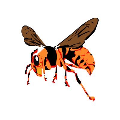 the_darkhornet's profile picture. Techie