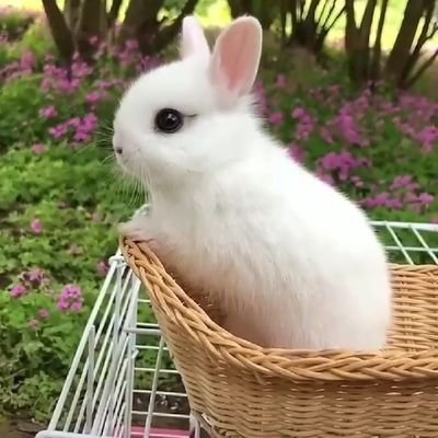 ShiwaniDadarwal's profile picture. dentist