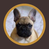Phil (@philweb11) 's Twitter Profile