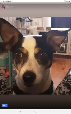 Kerba190's profile picture. Family Historian, researcher, author.  I'm a wife, mother, grandmother and great-grandmother who loves family, music,  art, gardening, animals, justice, freedom